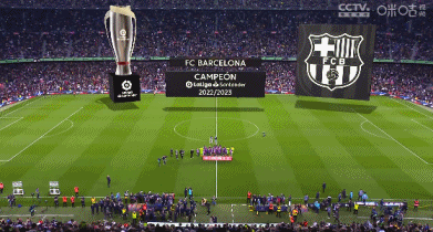 爱尔兰英雄帕罗特含泪接受采访：这就是我们热爱足球的原因